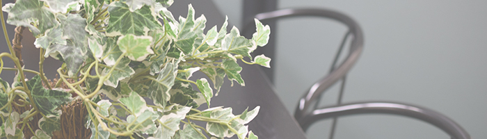 クロスロードへのお問い合わせ・お見積り依頼